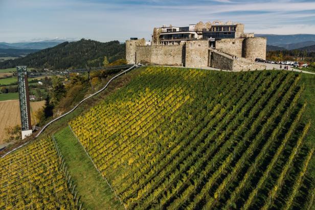 Die Burg Taggenbrunn in Kärnten mit den Weingarten im Vordergrund