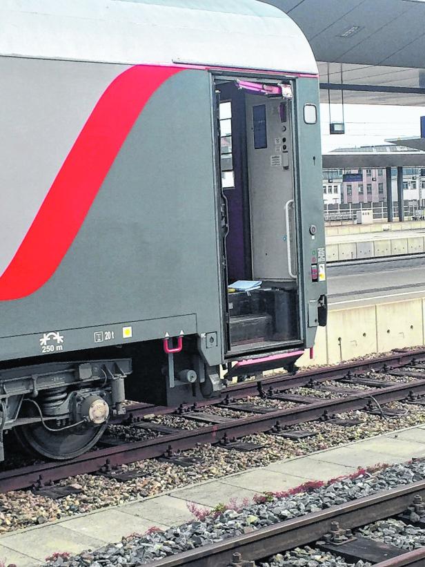 Neue Schnellbahn-Züge mit technischen Problemen
