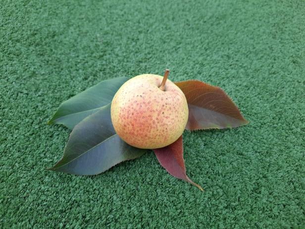 Eine Birne liegt auf einer grünen, künstlichen Grasfläche.