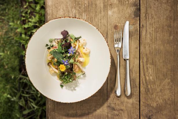 Ein Teller mit Pilzen, Blumen und Kräutern auf einem Holztisch im Falkensteiner Balance Resort Stegersbach.