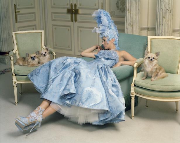 Eine Frau in einem blauen Kleid und einer extravaganten Kopfbedeckung posiert mit drei Chihuahuas in einem eleganten Raum.