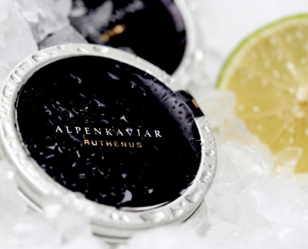 Eine Dose „Alpenkaviar Ruthenus“ liegt auf Eis, daneben eine Limettenscheibe.