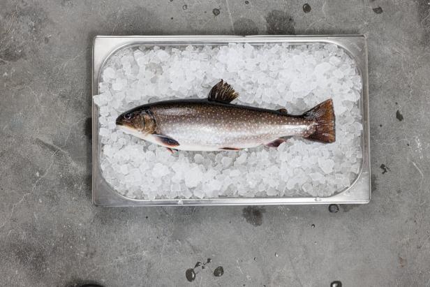 Ein frischer Fisch liegt auf Eis in einer Metallwanne.