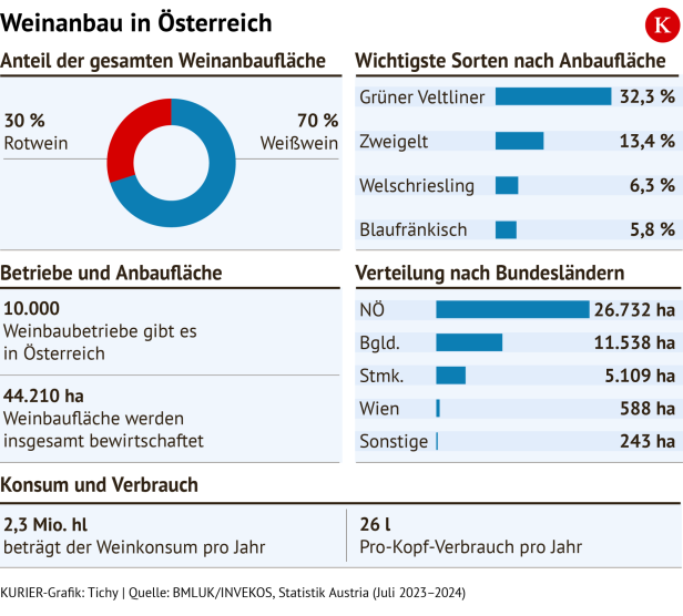 Grafik zum Weinanbau in Österreich