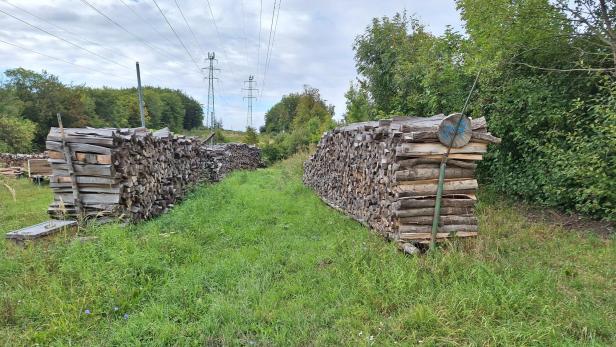 Holzstöße.
