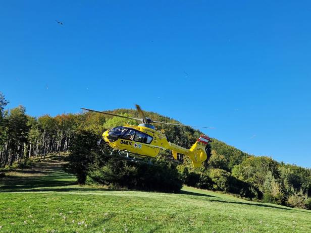 Rettung Muckenkogel