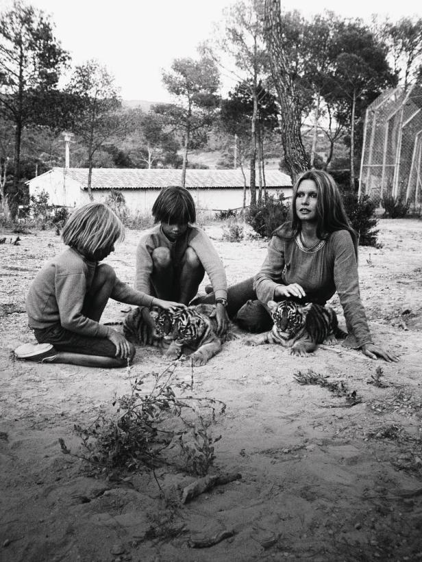 Brigitte Bardot und zwei Kinder streicheln zwei Tigerjunge.