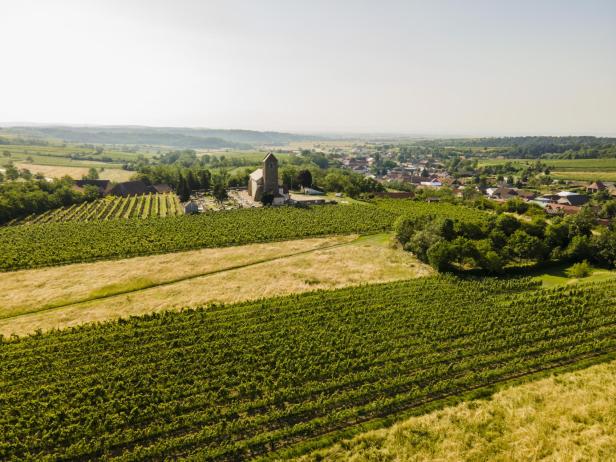 Blick über den Ried Kirchgarten in Hohenwarth mit Kirche und Dorf.