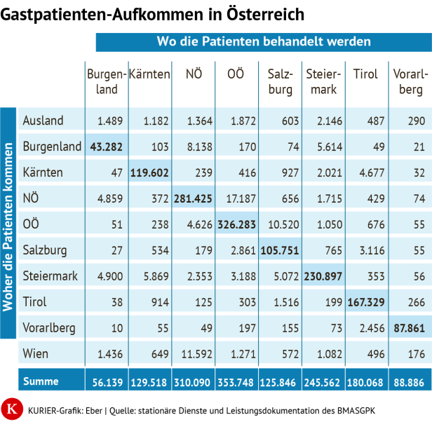 Die Grafik zeigt, dass Wien die meisten Gastpatienten versorgt.