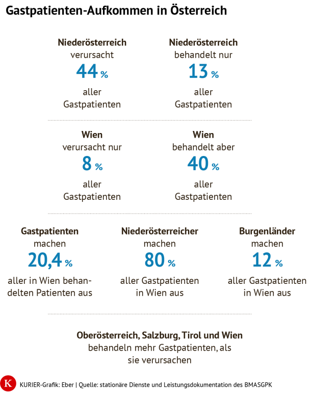 Wien Verursacht nur 8 Prozent aller Gastpatienten in ganz Österreich.