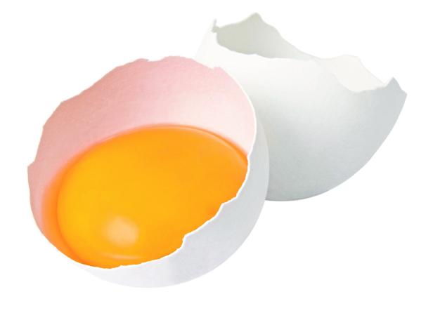 Ein aufgeschlagenes Ei mit Eigelb und Eierschale.