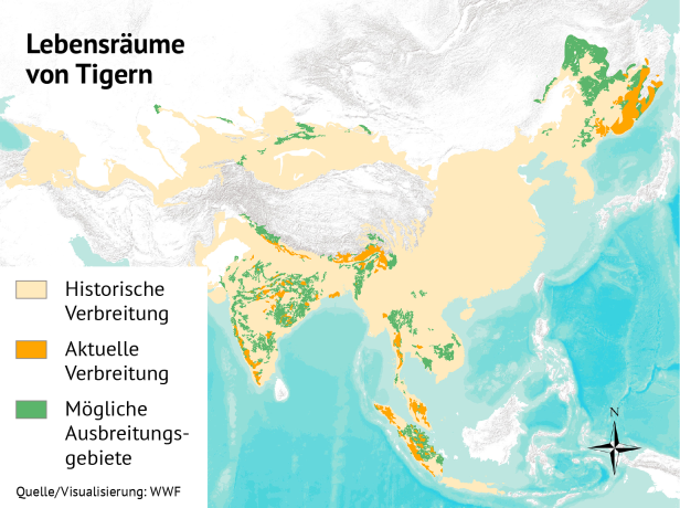 Eine Karte Asiens: Eingefärbt sind die Gebiete, wo Tiger verbreitet waren, sind und sein könnten. 