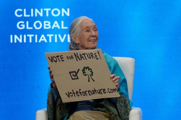 FILE PHOTO: Clinton Global Initiative in New York