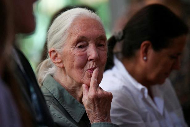 Jane Goodall mit weißem Haar hält einen Finger an die Lippen und denkt nach.
