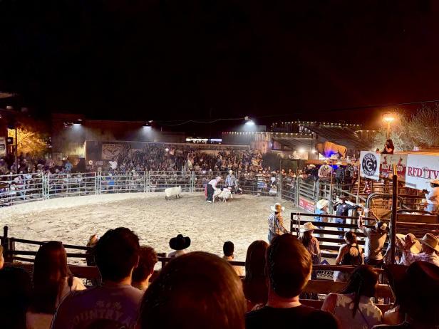Mädchen hängt auf Schaf in einer Bull-Riding-Arena
