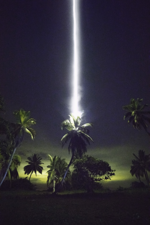Man sieht eine Palme vor dunklem Himmel, in die der Blitz einschlägt