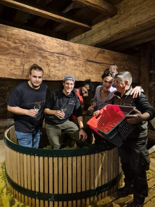 Mehrere Menschen stehen in dem Maischebecken der historischen Weinpresse.
