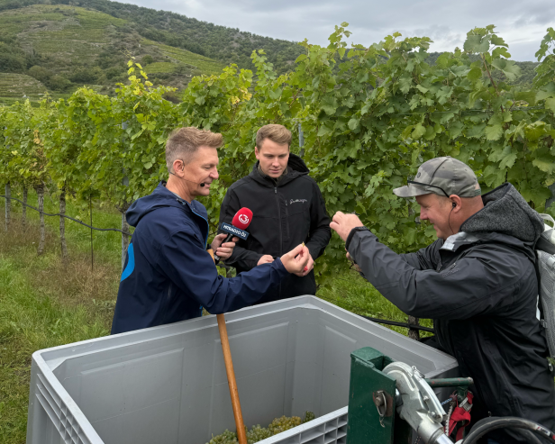 Andi Knoll und sein Kameramann stehen mit dem Jungwinzer im Weingarte.