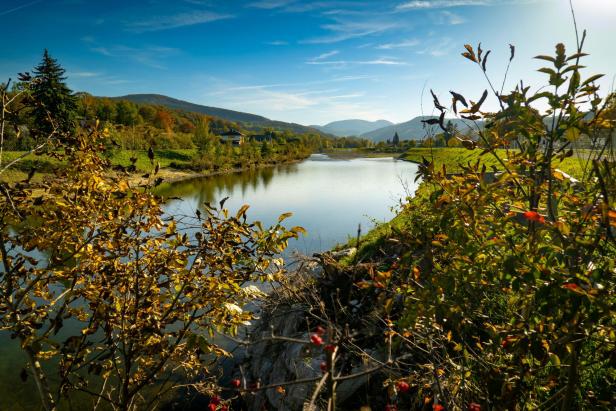 Ein Fluss, umgeben von Bäumen und herbstlicher Landschaft.