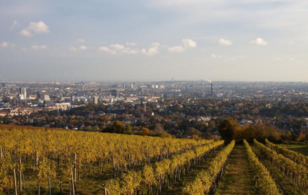 Mayer am Pfarrplatz Herbst Skyline Nussberg