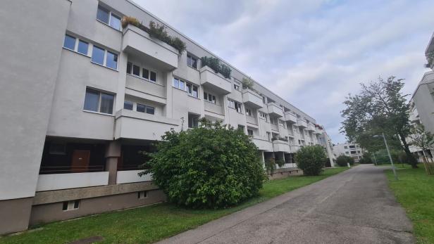 Polizeieinsatz in der Donaustadt