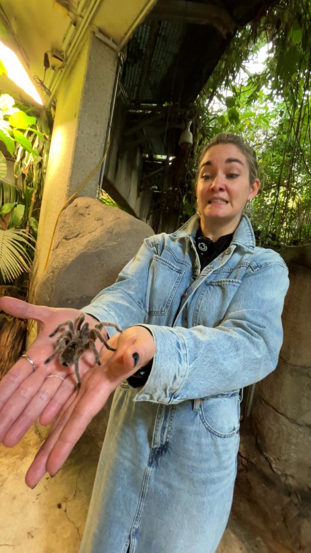 Gabi Hiller mit einer Vogelspinne in der Hand
