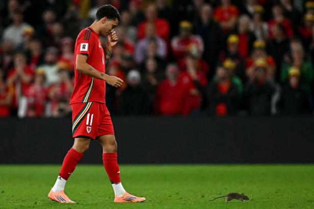 FBL-WC-EUR-2026-QUALIFIERS-WAL-BEL FBL-WC-EUR-2026-QUALIFIERS-WAL-BEL