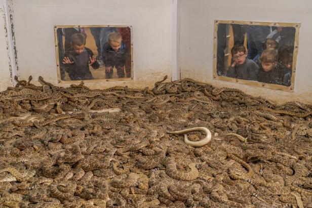 Javier Aznar Gonzalez de Rueda, Kategorie: Photojournalist Story Award 