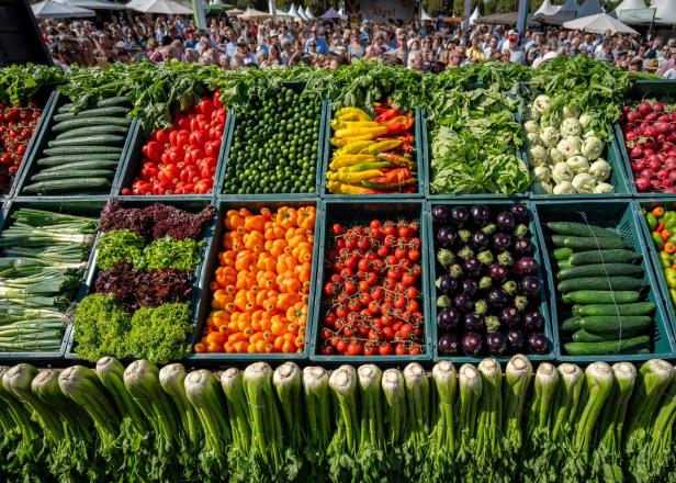 Marktstand mit verschiedenen frischen Gemüsesorten wie Gurken, Tomaten, Paprika, Salat und Auberginen, ordentlich in Kisten sortiert.