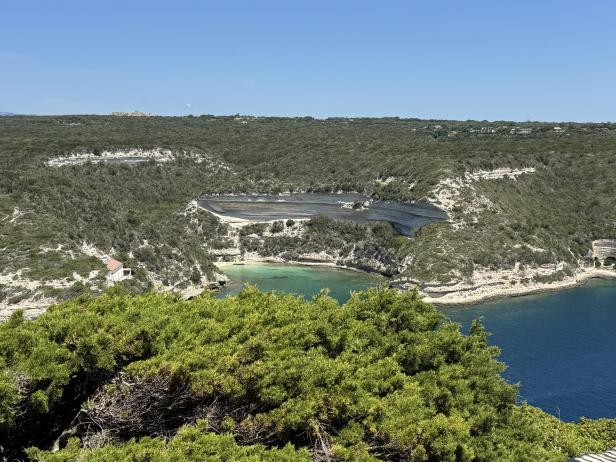 Die immergrüne Macchia legt sich wie ein Teppich über einen Großteil der Insel.