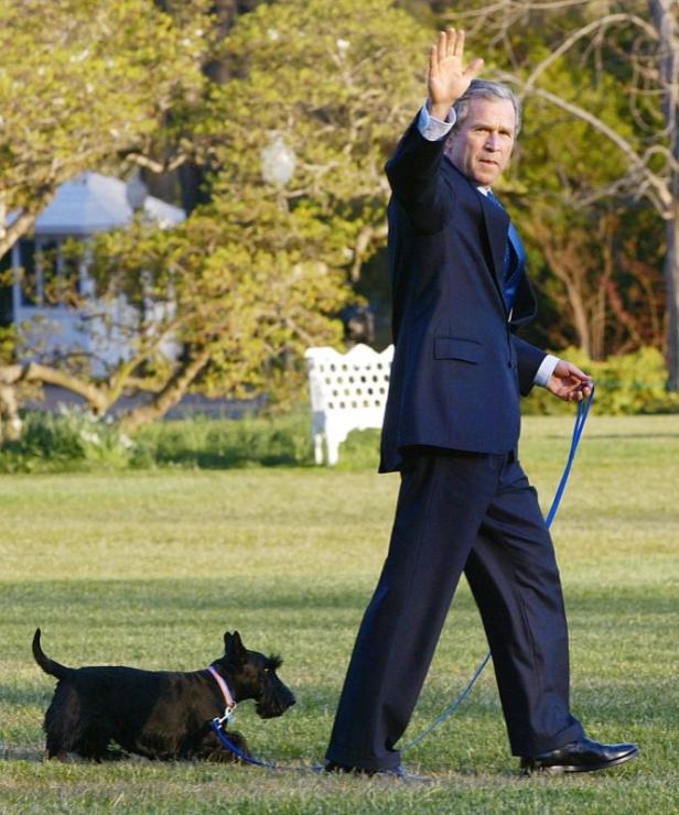 George W. Bush mit seinem Hund Barney