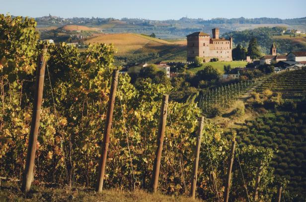 Sunset in autumn, during harvest time, at the castle of Grinzane Cavour, surrounded by the vineyards of Langhe, the most importan wine district of Italy