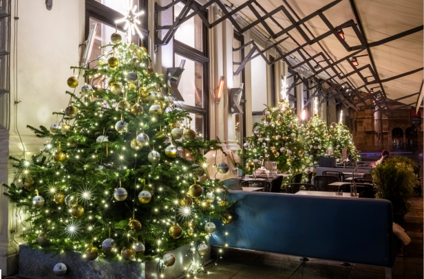 Weihnachtsbeleuchtung: Strahlend schön und effizient Erleuchtete Weihnachtsbäume