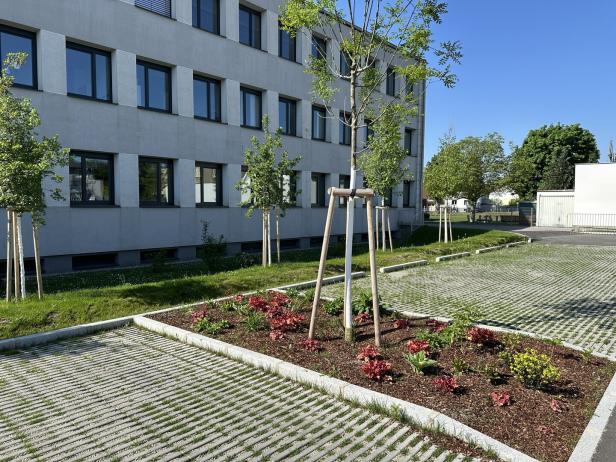 Rasensteine statt Asphalt: Der Parkplatz der NMS Wirtschaft als Vorzeigeprojekt.