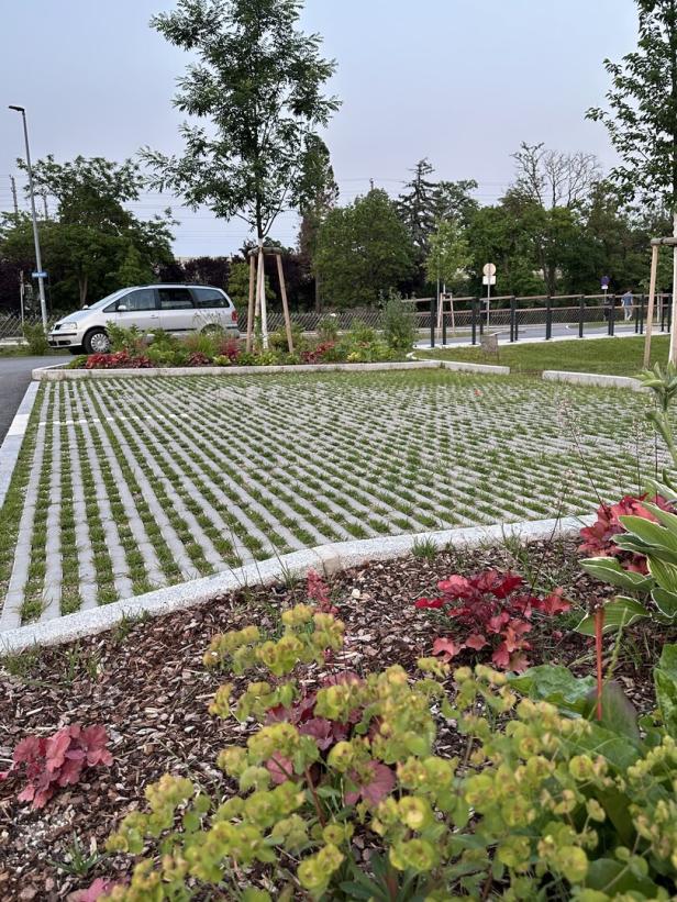 Rasensteine lassen das Wasser am Parkplatz versickern.