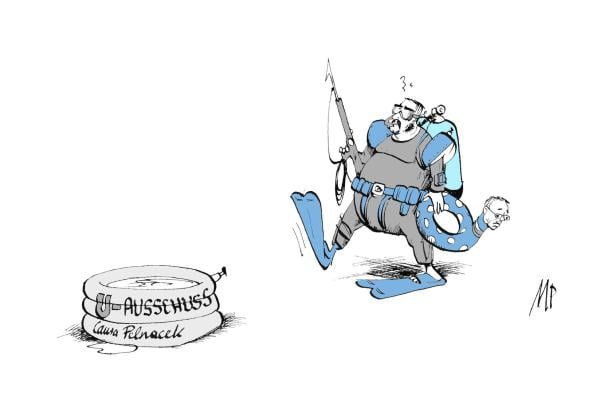 Dünne Suppe oder tiefer Staat, Herr Hafenecker?