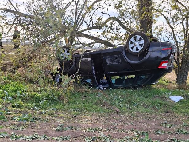 Ein schwarzes Auto liegt auf dem Dach neben einem Baum im Gras, Äste und Blätter sind um das Fahrzeug verteilt.