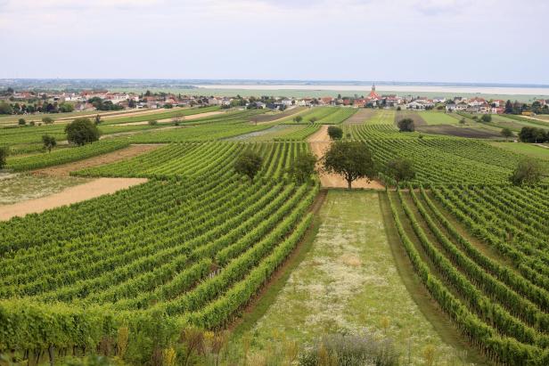 Burgenland: Jois am Neusiedler See Wein, See und sanfte Hügel – Jois vereint Naturgenuss und burgenländische Gastfreundschaft.