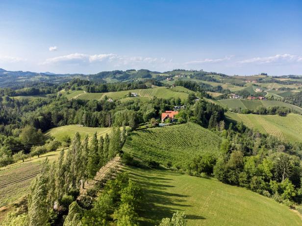 Steiermark: Eorykogel Auf dem Eorykogel thront die größte gläserne Weintraube der Welt über den Weinbergen.
