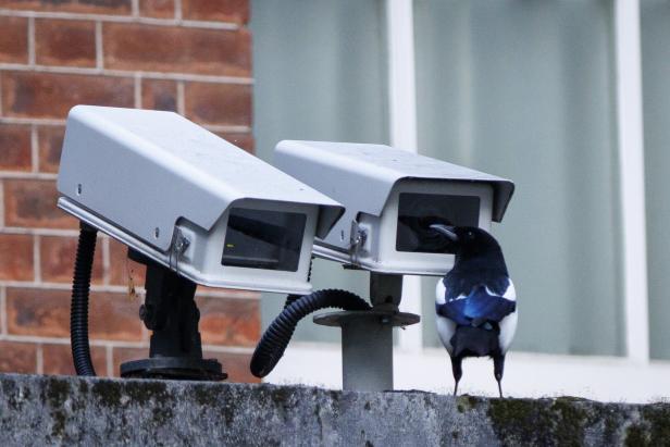 Im Visier Security cameras at Downing Street