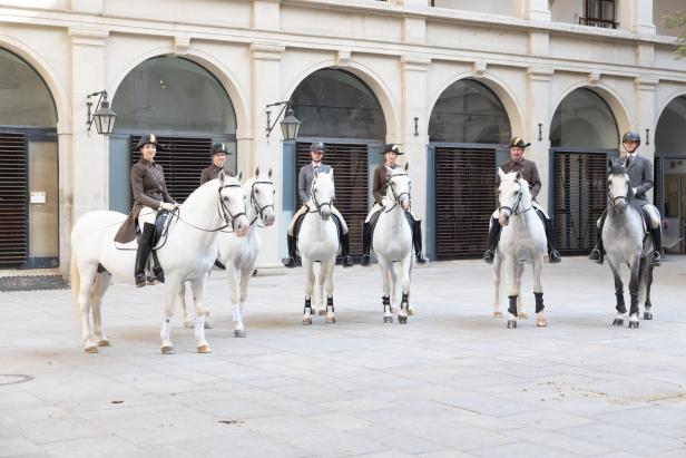 Spanische Hofreitschule "Operation Cowboy": Wie ein US-General 1945 das Lipizzaner-Gestüt rettete