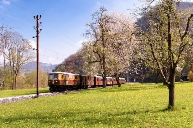 46-219750970