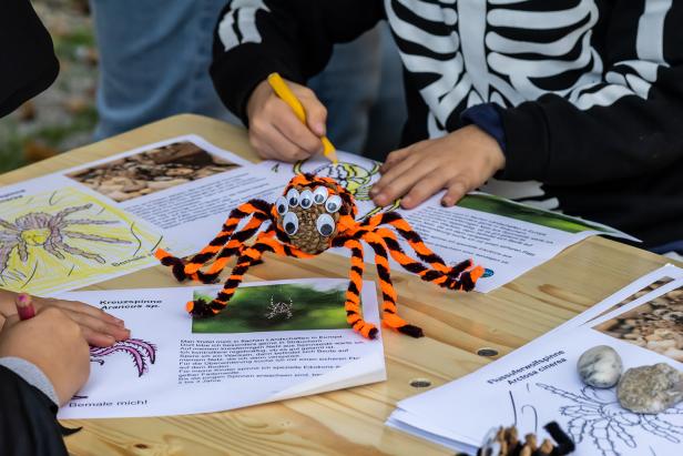 Halloween im schlossORTH Nationalpark-Zentrum