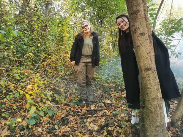 Halloween im schlossORTH Nationalpark-Zentrum