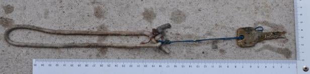 Leichenfund Klosterneuburg