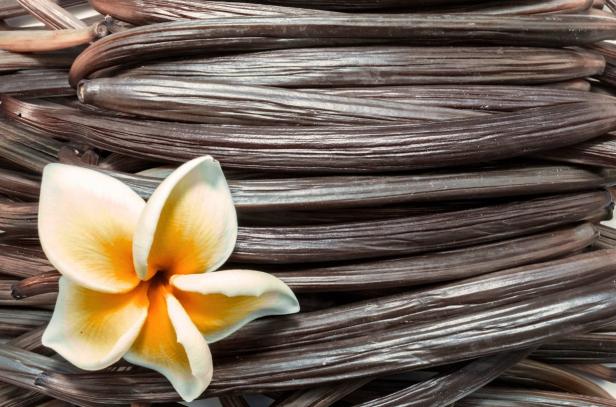 Eine Vanilleblüte liegt auf mehreren Vanilleschoten.