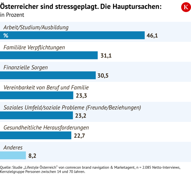 Grafik Hauptursachen für Stress