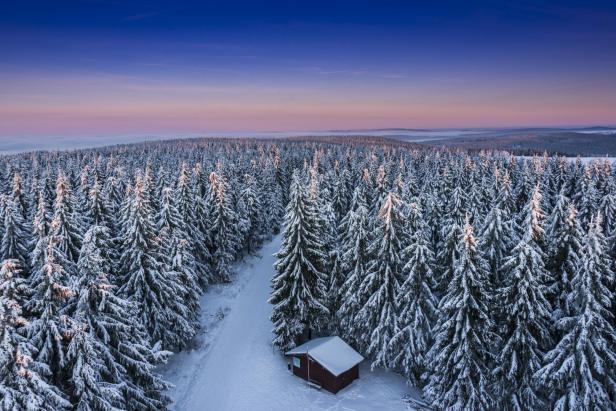 Ein schneebedeckter Tannenwald im Sonnenuntergang. 