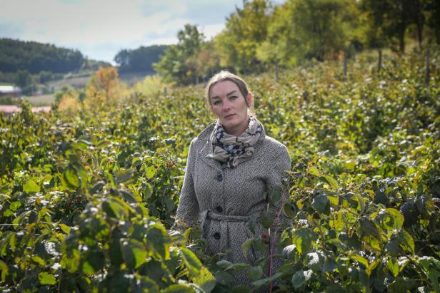 Edona gehört zu den Himbeer-Produzenten, die mit "Kemi Fruits" zusammenarbeiten.