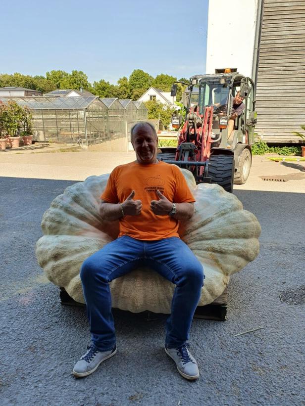 Riesenkürbis und Züchter